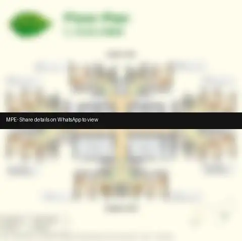 Floor Plan preview