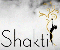 Shakti Developers