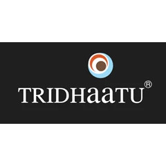 Tridhaatu Realty and Infra Pvt Ltd
