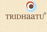 Tridhaatu Realty and Infra Pvt Ltd