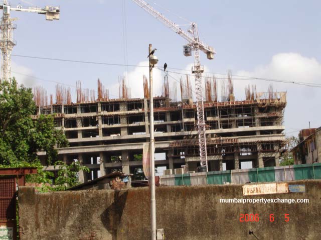 5 June 2006