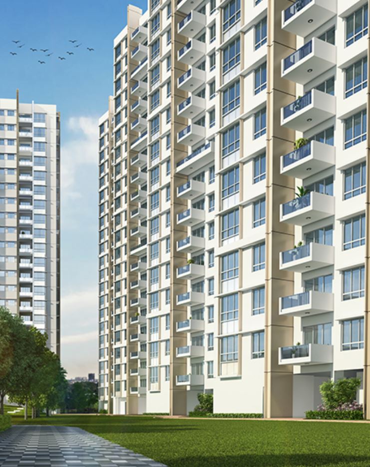 Vicinia Elevation Image-1