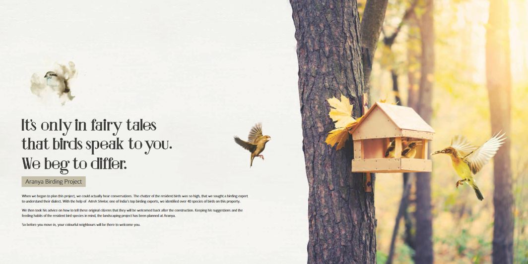 Tridhaatu Aranya Image-20