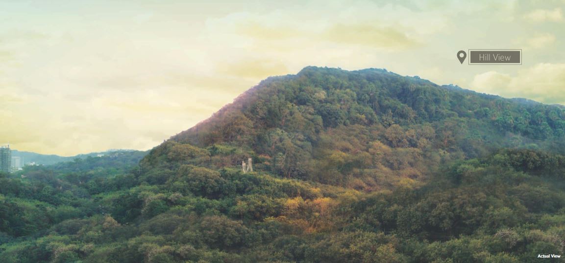 Tridhaatu Aranya Image-6