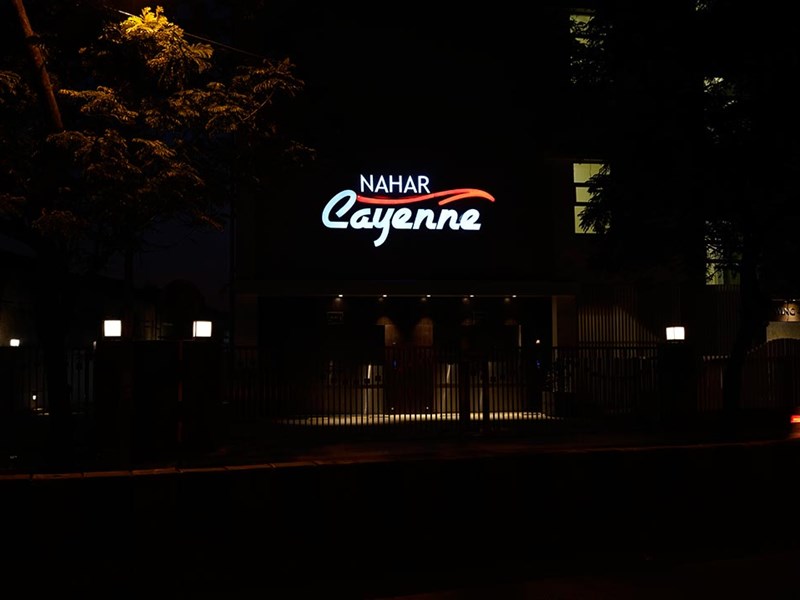 Cayenne Image-2