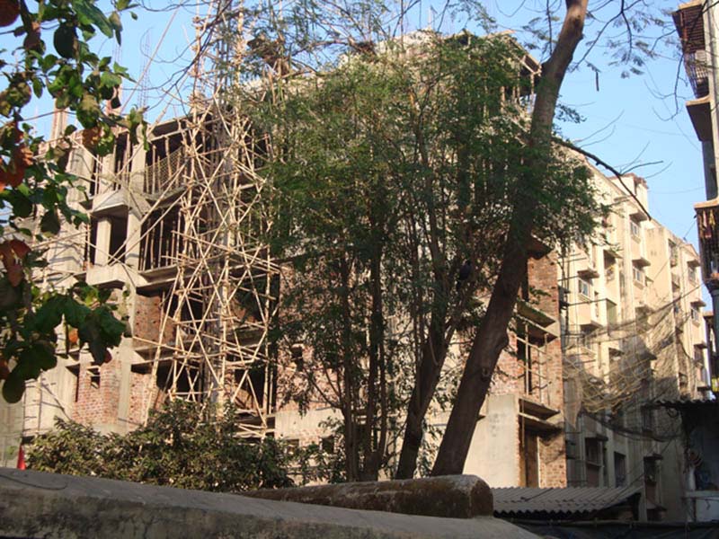 Flat on rent in D N S Tower, Ghatkopar West