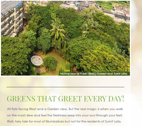 Views of Green Everyday