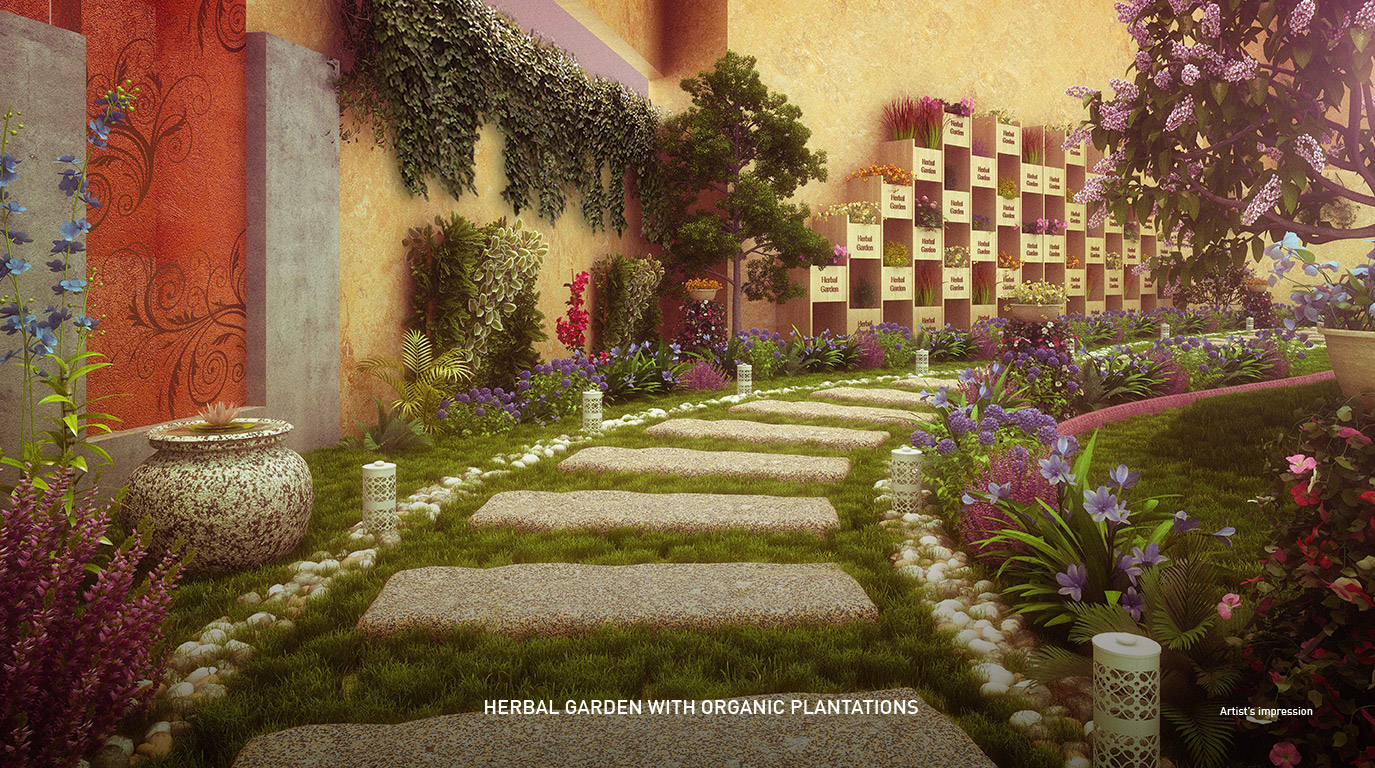 Goldcrest Podium Herbal Garden