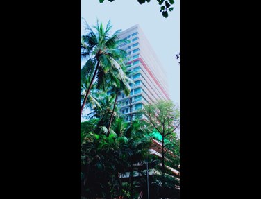 15546 Main - Carmichael Residences, Carmichael Road