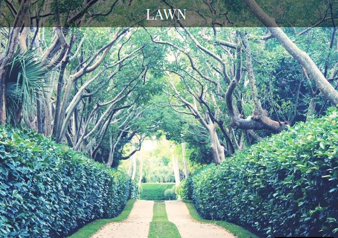 Kalpataru Yashodhan Lawn