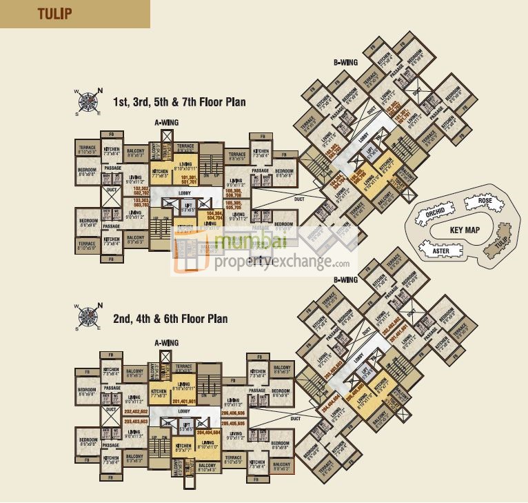 Tulip floorplan