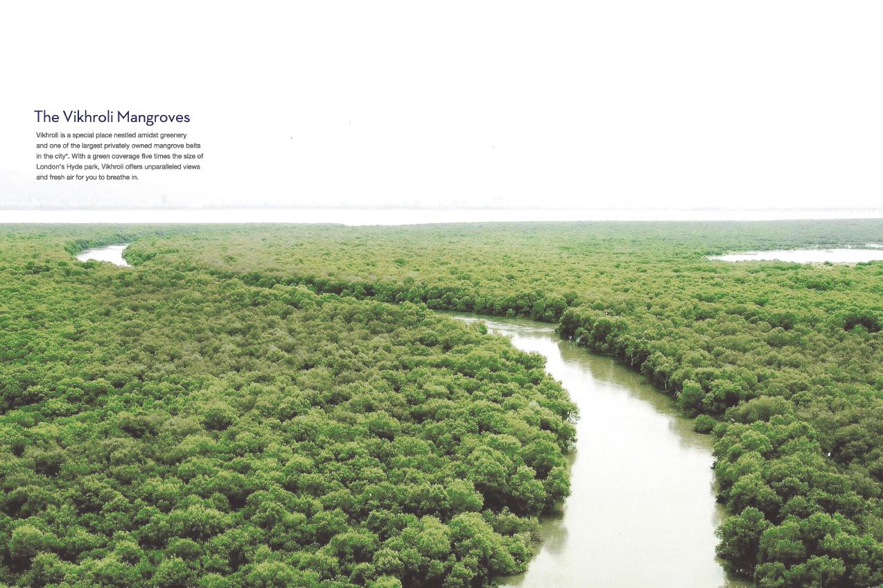 3 Godrej Trees Vikhroli Mangroves