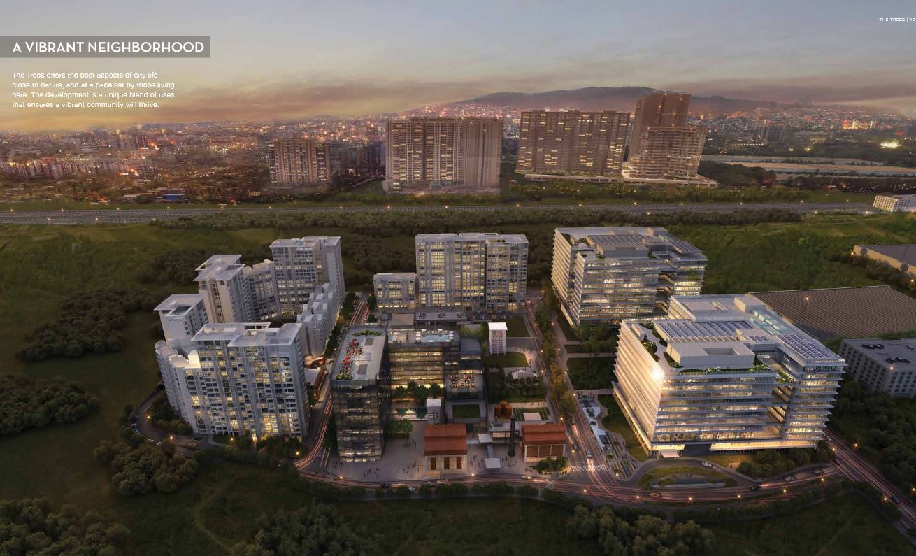 6  Neighbourhood Godrej Trees