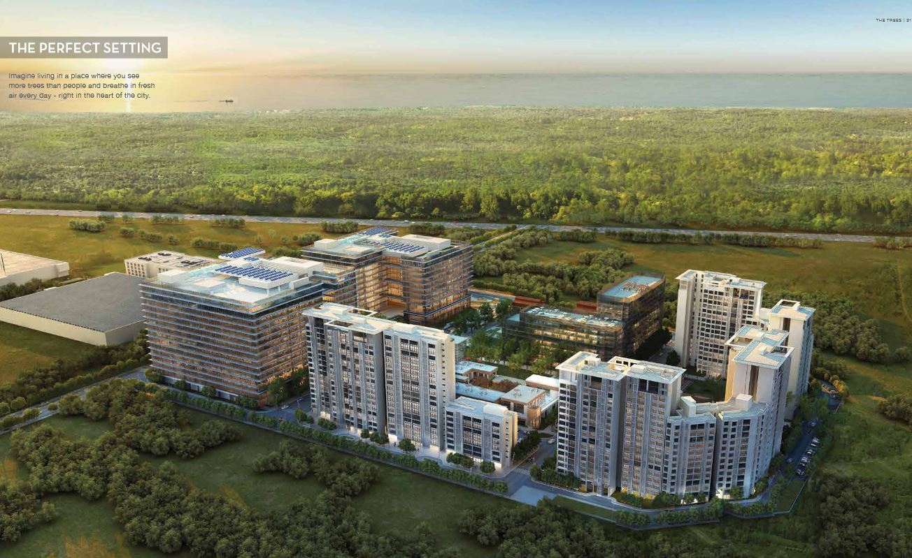 7  Neighbourhood Godrej Trees