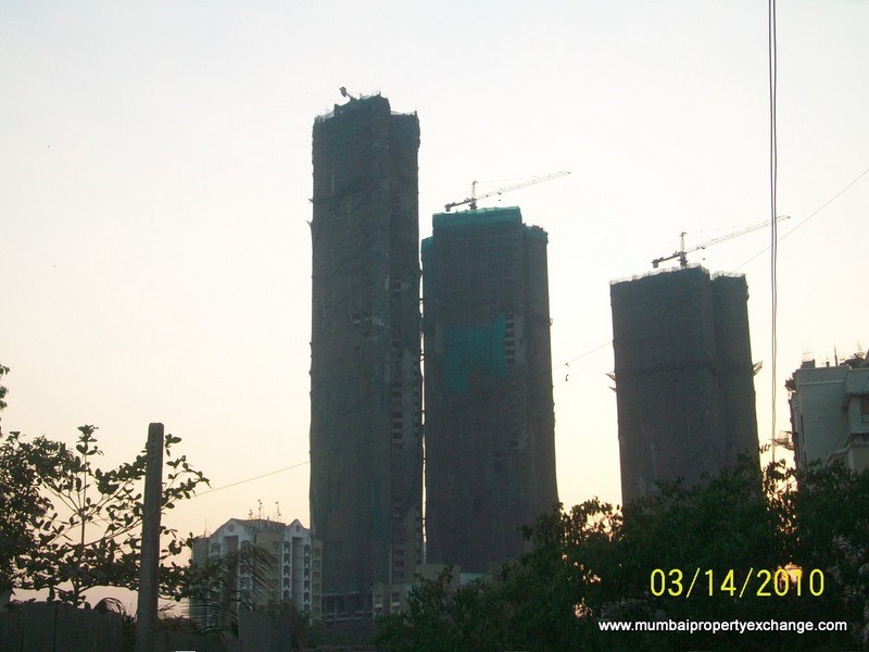 17 March 2010