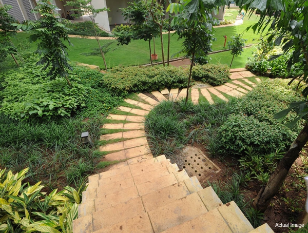 Emerald Isle Landscape