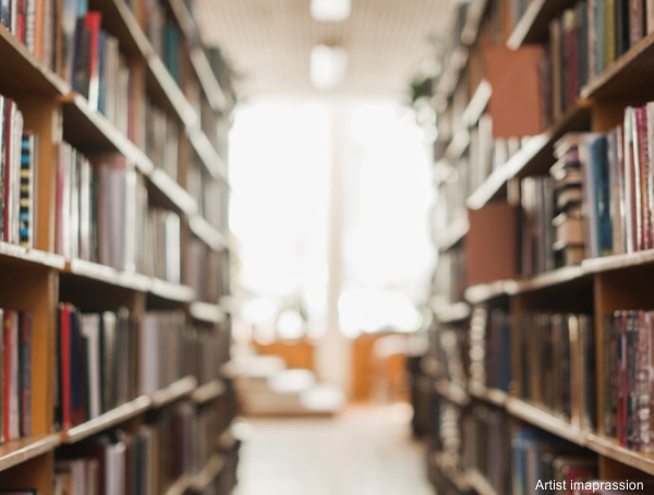 Emerald Isle Library - reading area