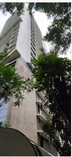 Palette Elevation Image-4