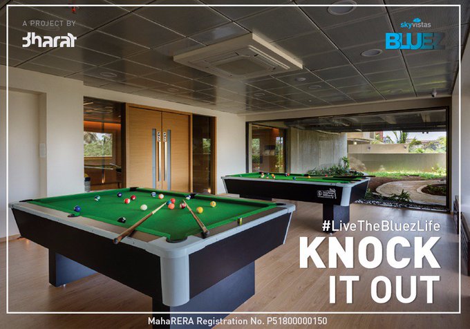 Skyvistas Bluez Indoor Games