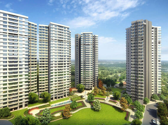 Emerald Isle Elevation 