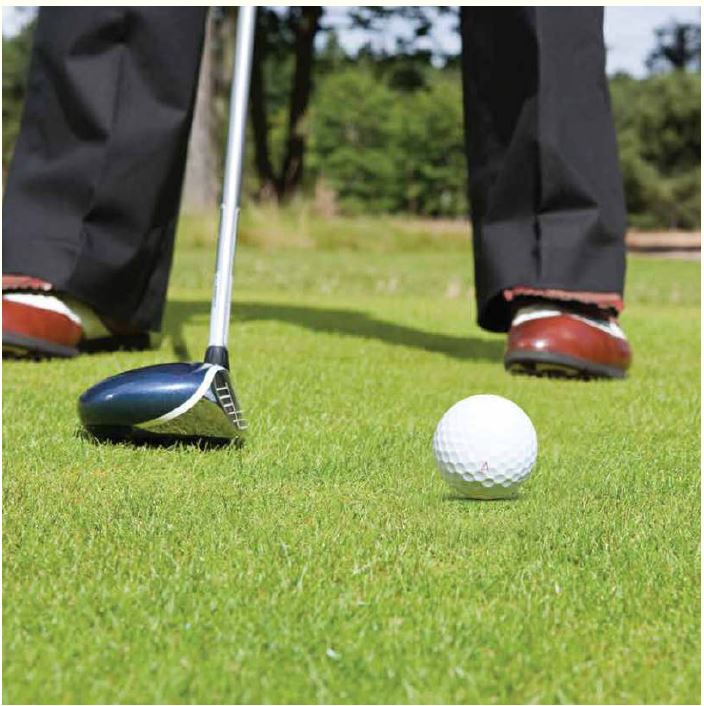 Emerald Isle Image-6