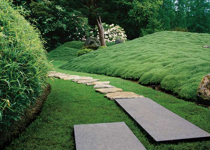 Hills Pristine Landscape