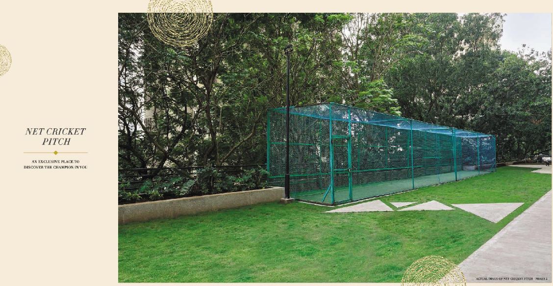 Acme Ozone Net Cricket Pitch