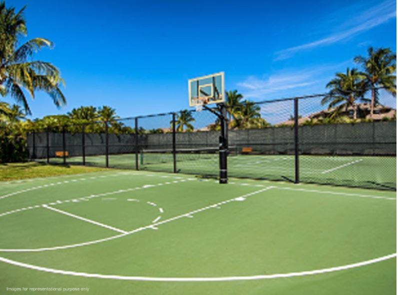 Joyville Basket Ball Court