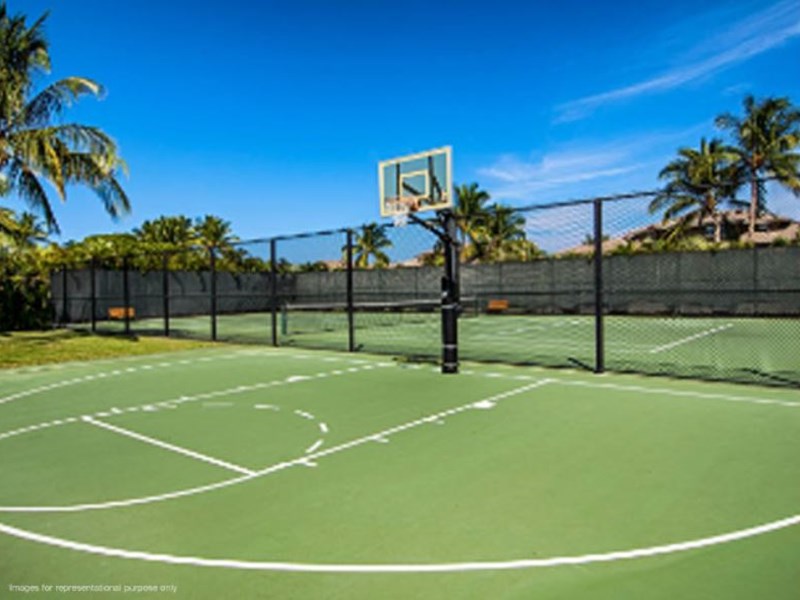 Joyville Basket Ball Court