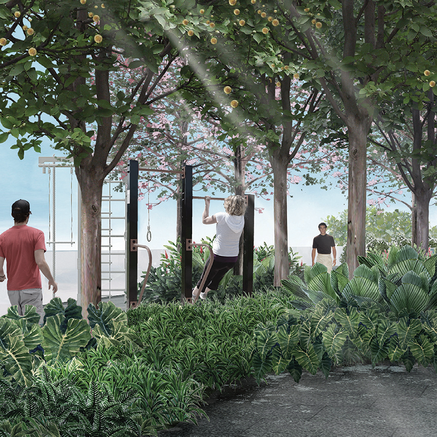 Outdoor Activities -The Park