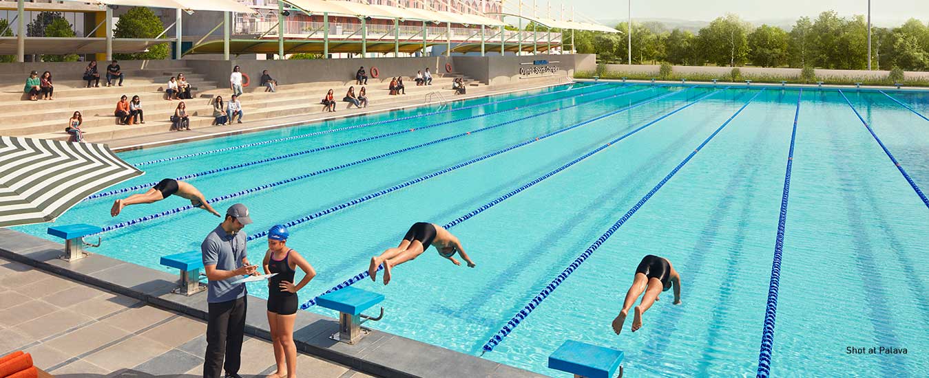 Olympic size swimming pool