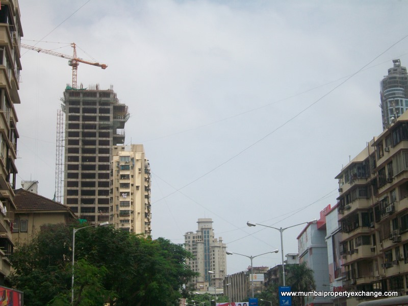 25 July 2009