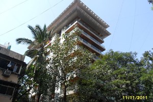 Rose Queen, Khar West by Kamala Group