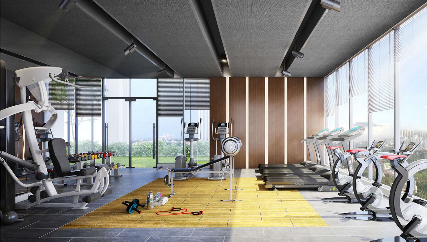 Spenta Medius Gym