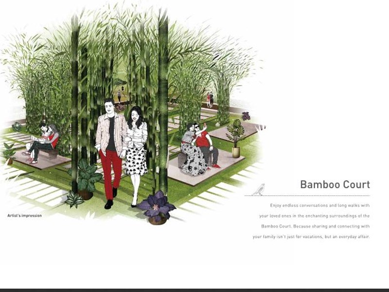 City Reserva Bamboo Court