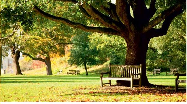 Lodha Sterling Image-2