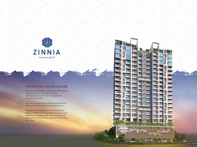 Zinnia Image-2