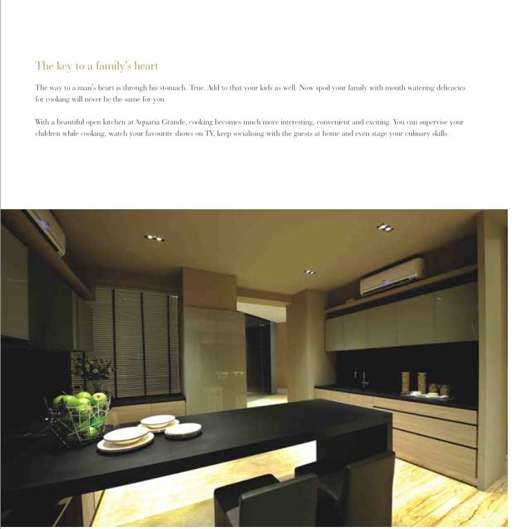 Aquaria Grande Kitchen