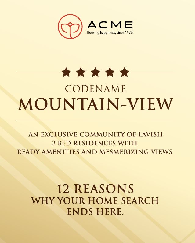 Acme Codename Mountain View Image-1