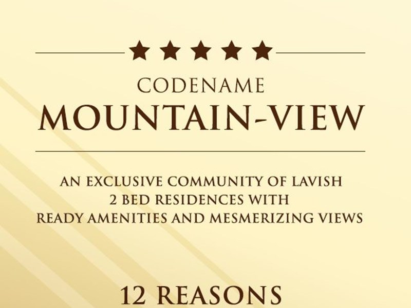 Acme Codename Mountain View Image-1