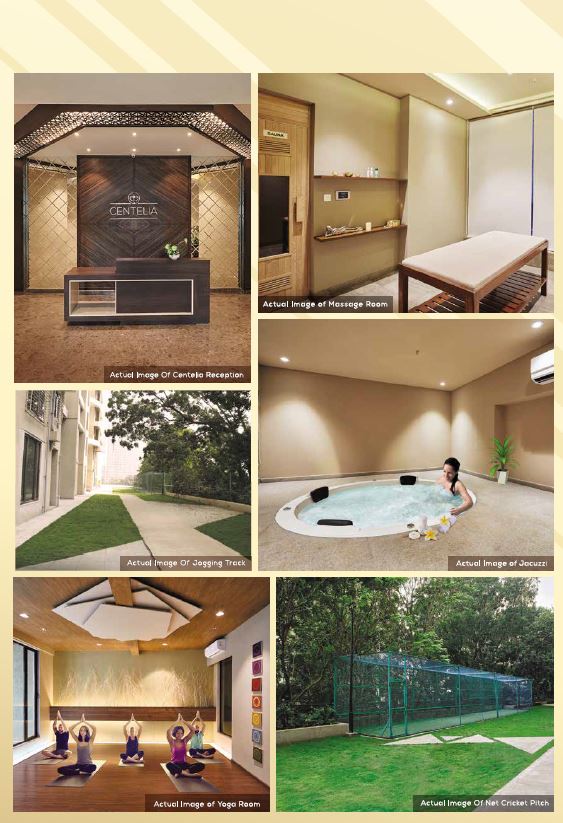 Acme Codename Mountain View Reason 01