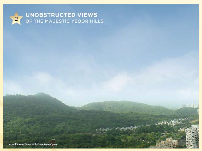 Acme Codename Mountain View Reason 2