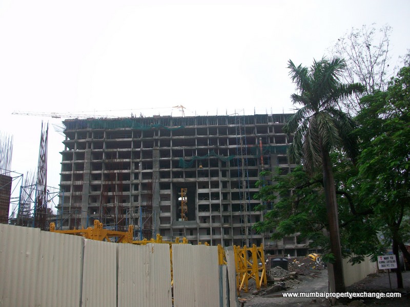 20 July 2009