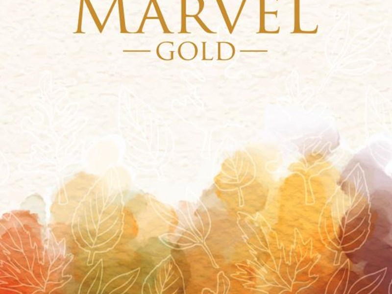 Marvel Gold Petra Image 1