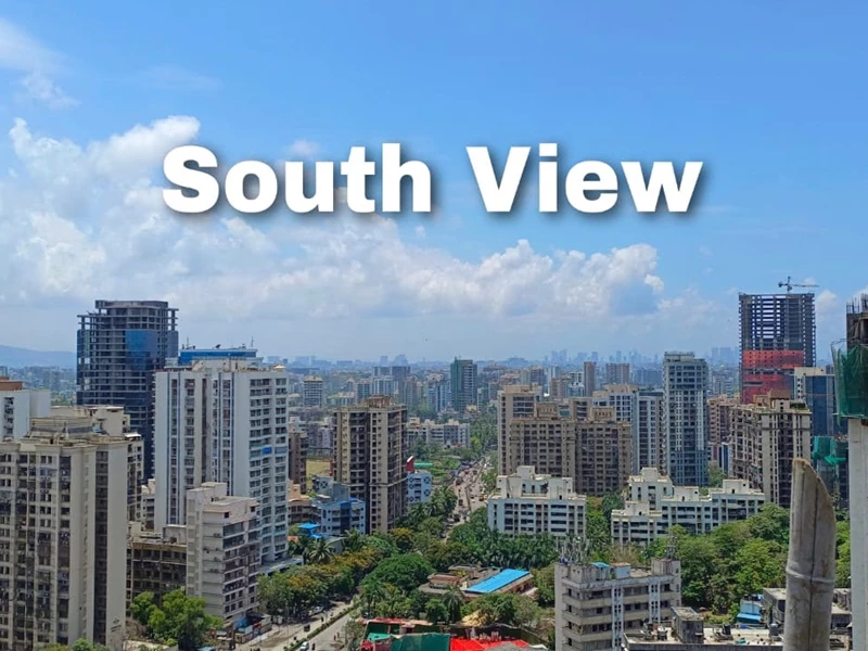 south-view