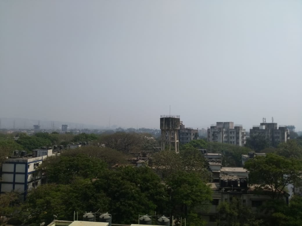 View from Kingsville Site