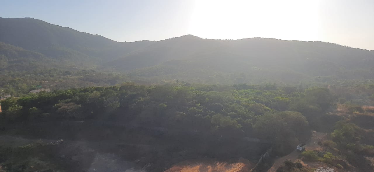 EcoHomes Actual View from Site