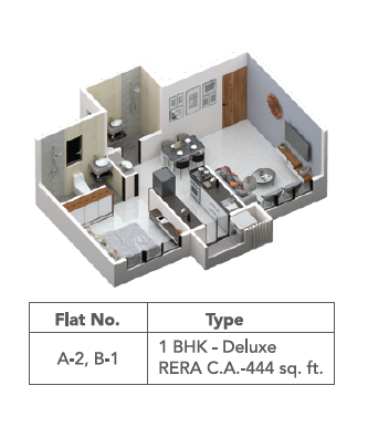 1 BHK Deluxe