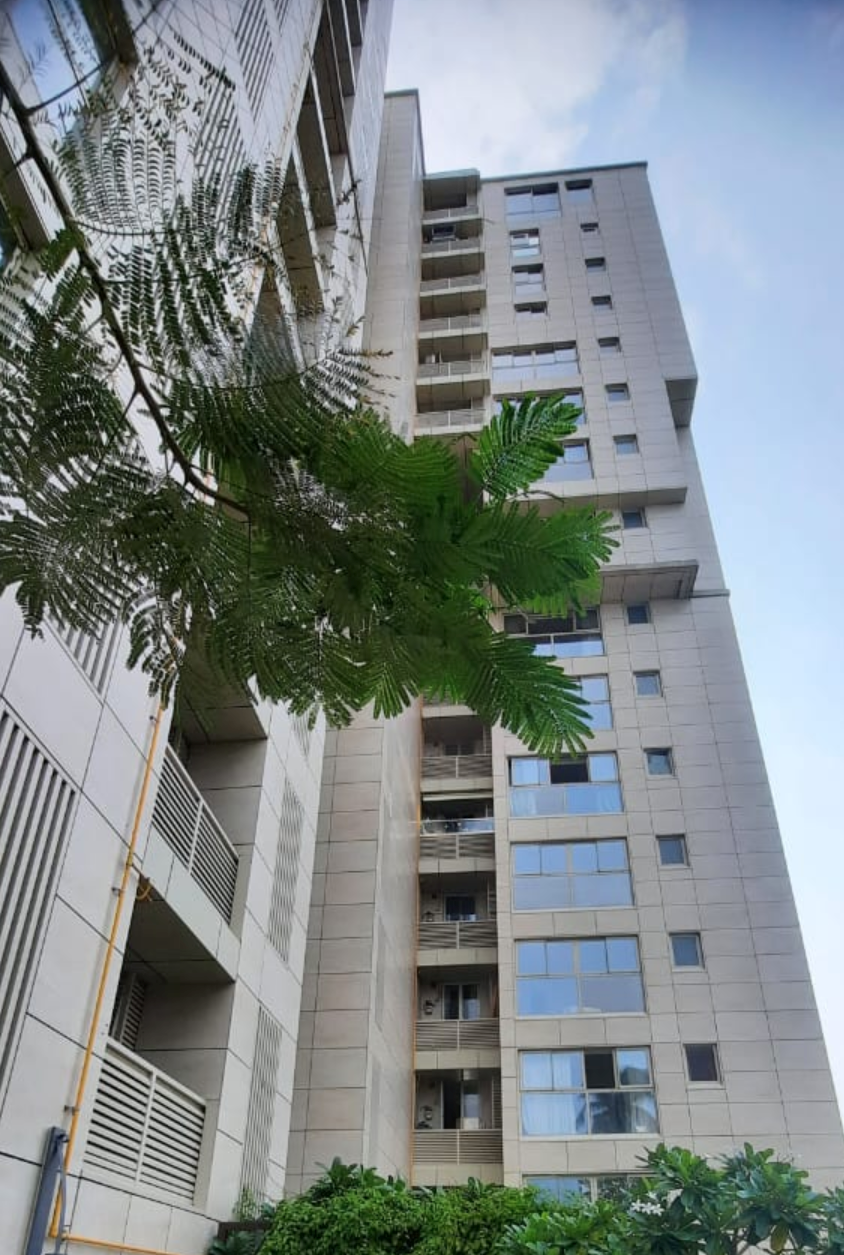 Navroze, Bandra West by Kryshnajay Developers Private Limited
