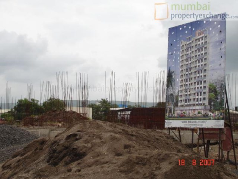 19 August 2007